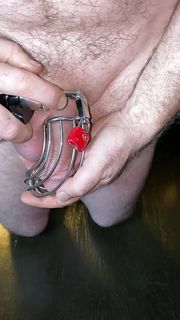 Chastity bird cage escape and relock