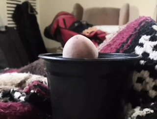 Strange flower pot