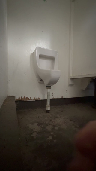 Public Urinal Piss and Play
