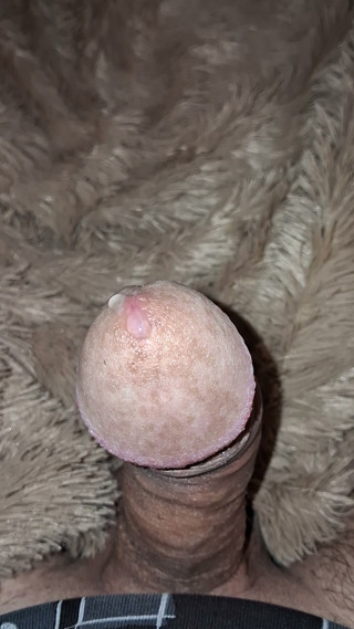 Cumshot from a hard cock