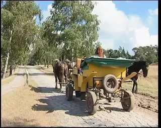 /beam/67a86219cc498f247e83ebb4