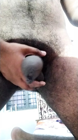 big cock show