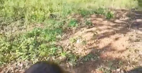 /beam/67a86358cc498f247e937c14