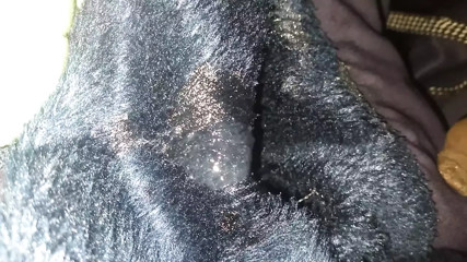 Spread sperm on my jacket