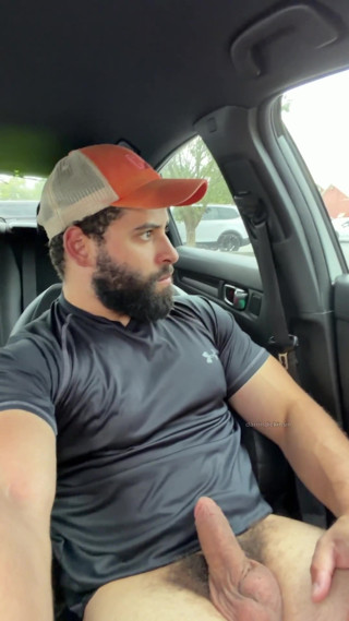 Muscle Cub in the Car
