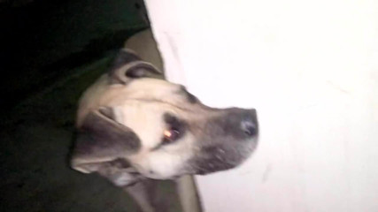 joven