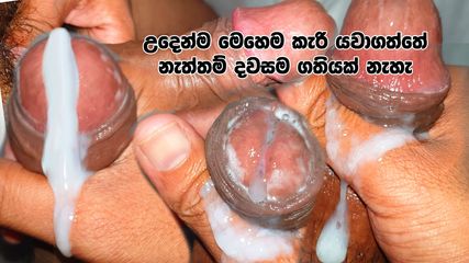 /beam/67a86378cc498f247e9526ce