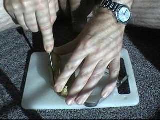 Ginger root urethra play