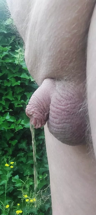 Little dick pissing
