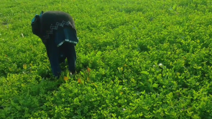 Khet kheton mein gand Marne Laga upar se Koi aaega FIR chhod Diya