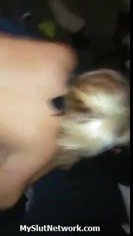 /beam/67a86027cc498f247e6809fd