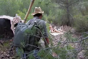 /beam/67a86330cc498f247e917b1b