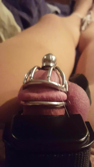 Shock punishment for caged cock