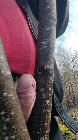 chubby guy decided to take a break from work and fuck a tree