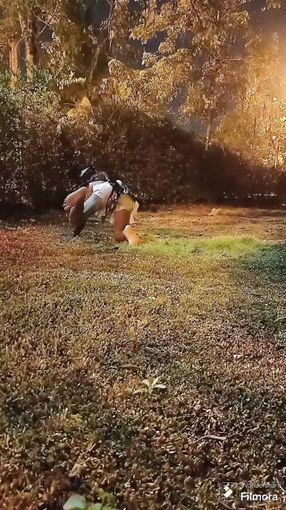Little Rabbit in the Garden