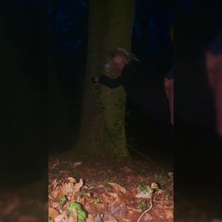 /beam/67a86109cc498f247e759077