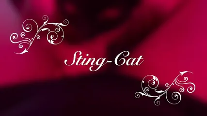 /beam/67a86282cc498f247e88f856