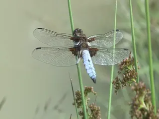 /beam/67a8625fcc498f247e8747c8