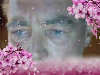 Daddy's Face