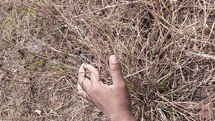 Gay Boy Outdoor Pussy Fuck Sissy Anal