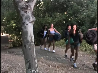 /beam/xhVa0VV