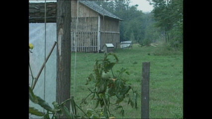 Gottinnen Der Lust - Episode 1 - Bild 2