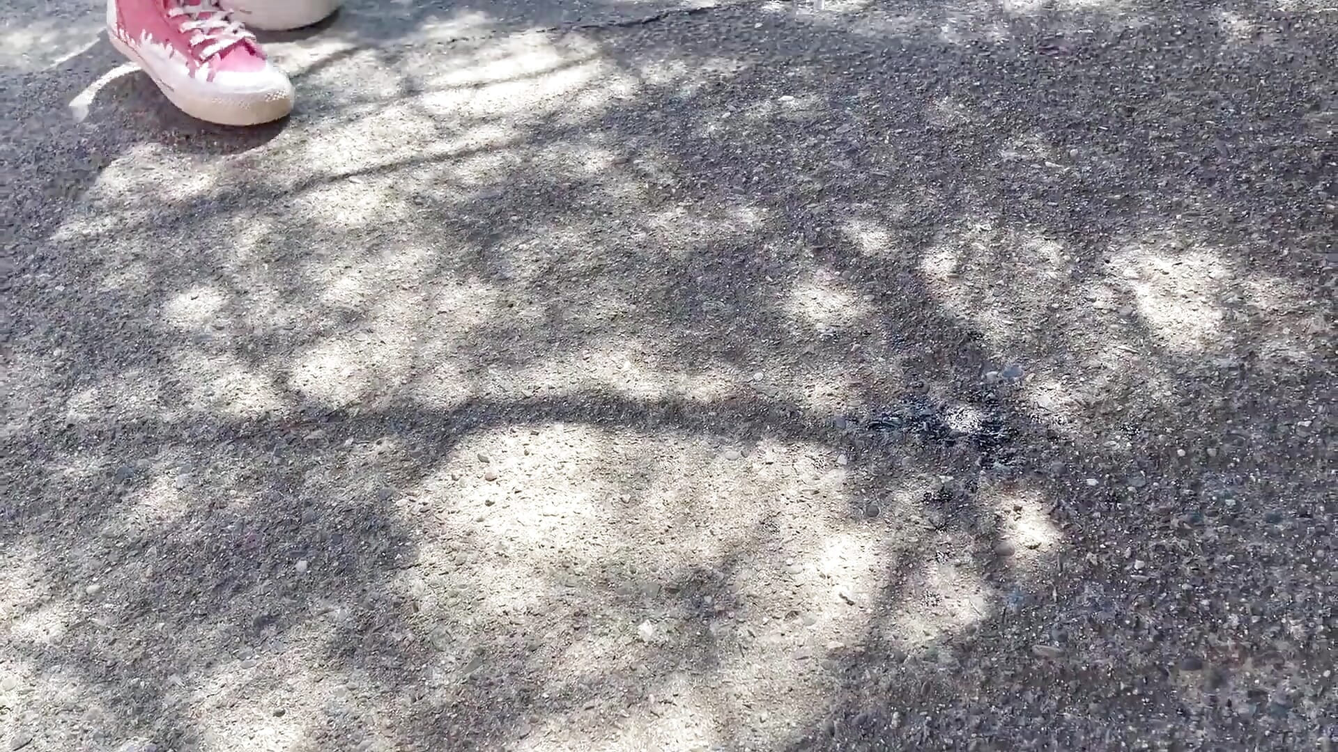 I Met a Nerdy, Shy Girl at the Public Beach and Turned Her Into My Dirty Submissive Anal Slut. She Squirted All Over Her Face!!!