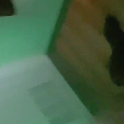Mexican Dirty Sissy Swallow Huge BBC and Gets Anal Played with Dildo
