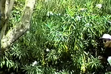 /beam/67a862f0cc498f247e8e4bdf