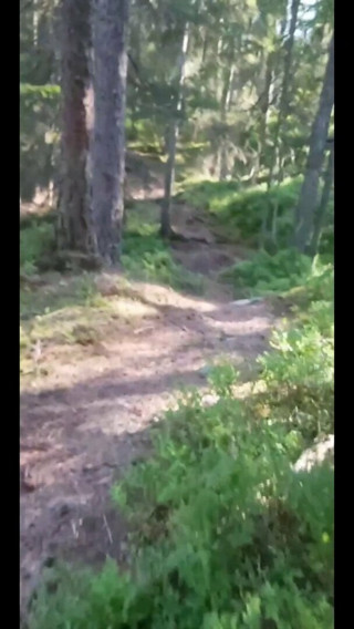 Trans Man Masturbating In The Forest