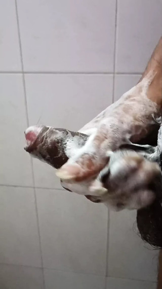 Masturbating in bathroom