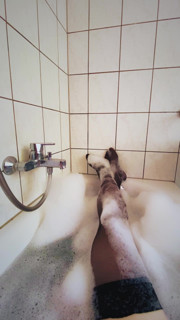 Nice day to take a bath
