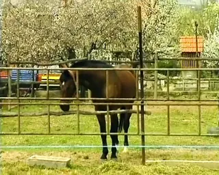 /beam/67a8632dcc498f247e914dd0