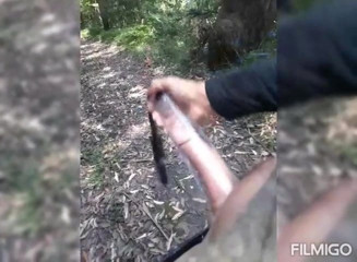 Pumping and stroking my horny big cock in the woods on kik