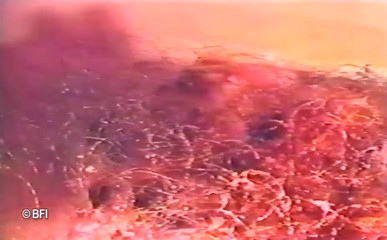 /beam/xhWjU66