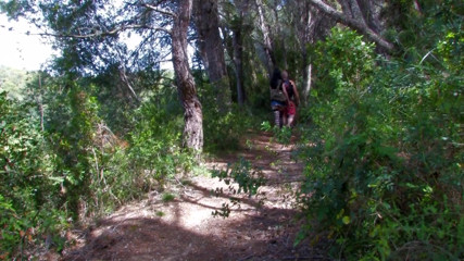 Bitch fucked in the forest