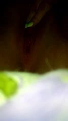 /beam/3901737