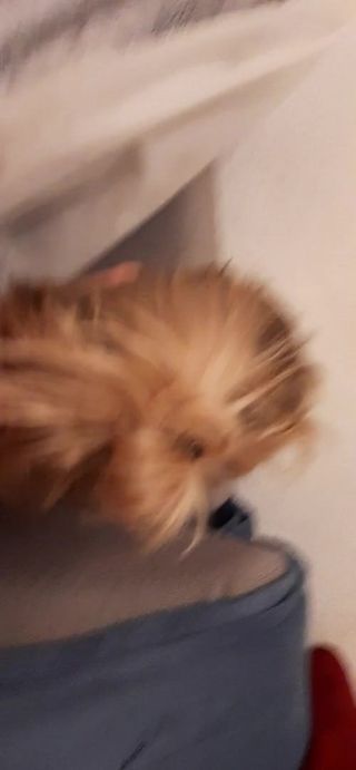 /beam/67a85ff1cc498f247e649cc1