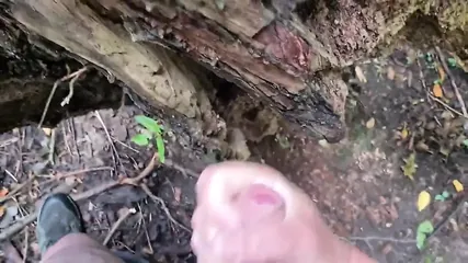 /beam/67a86395cc498f247e96c24e