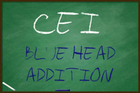 AUDIO ONLY - CEI blue head addition