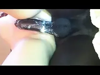 /beam/67a85e63cc498f247e4a255e