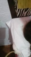 Swinger sucking corno Big dick