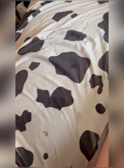 Nympho Unsupervised