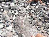 My Naked Short-haired Wife Sucks My Cock Outdoor on a Beach