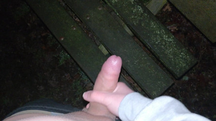 Nighttime cum on park bench