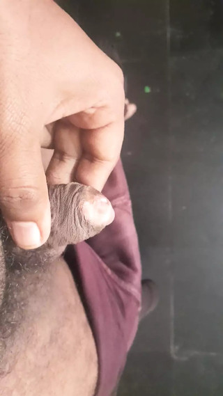 Indian cock