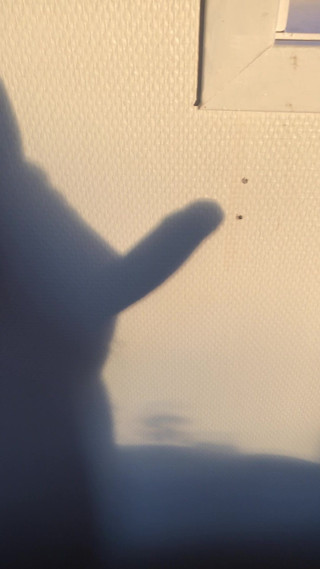 Shadow on the wall