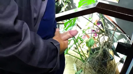 /beam/67a8620ecc498f247e835627