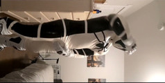 Anti-venom Suit Antics
