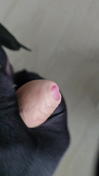 My masturbations